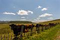 2017_08_06_Auvergne (0067)